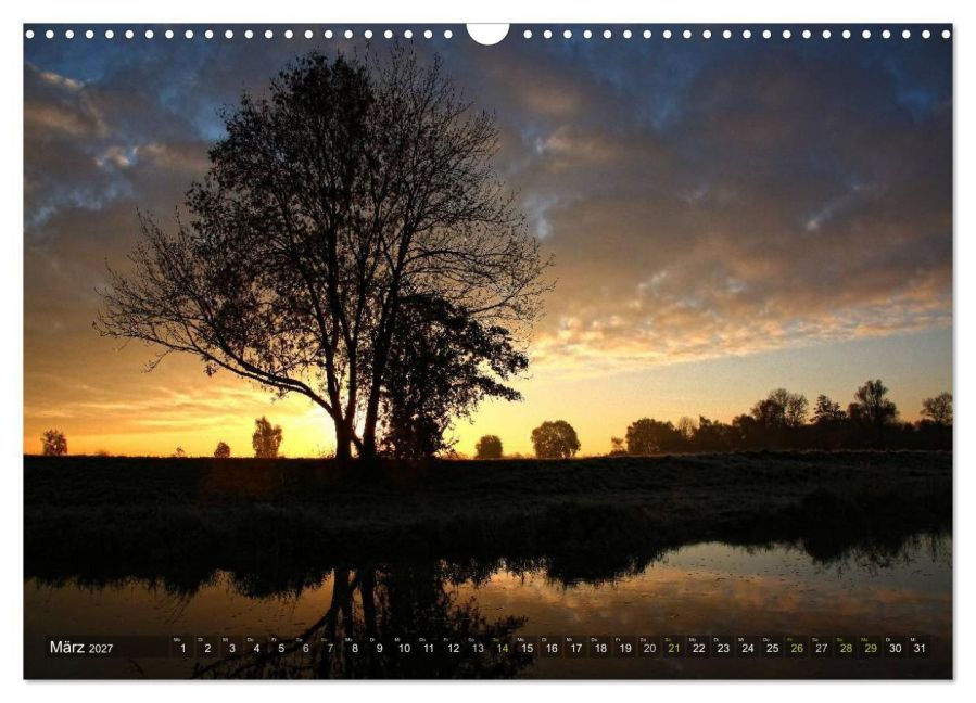 InsideView 8