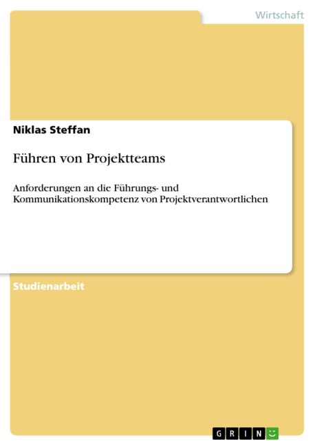 Führen von Projektteams - Niklas Steffan