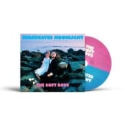 Cover-Bild zum Titel 'Underwater Moonlight (45th Anniversary Remaster)' von 'The Soft Boys'