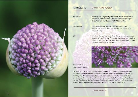 InsideView 5