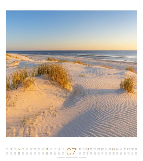 InsideView 7