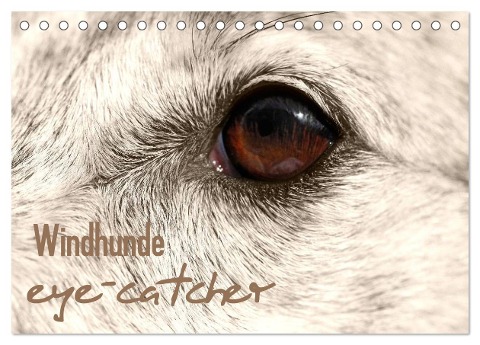 Windhunde eye-catcher (Tischkalender 2025 DIN A5 quer), CALVENDO Monatskalender - Pfoten-Design Andrea Redecker