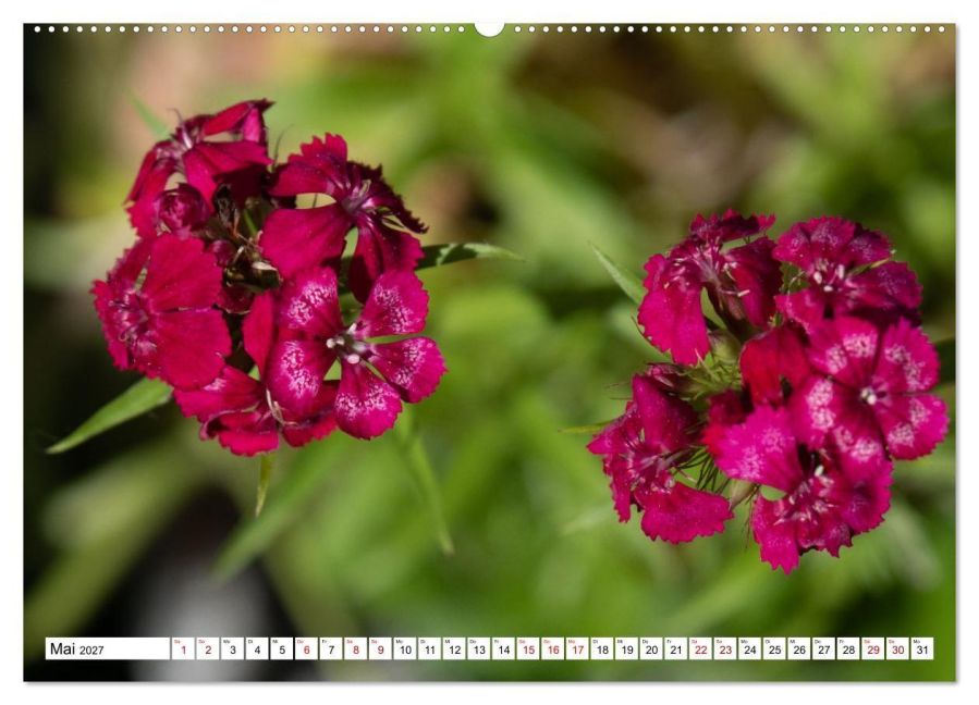 InsideView 10