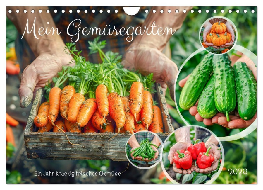 Mein Gemüsegarten - Ein Jahr knackig frisches Gemüse (Wandkalender 2026 DIN A4 quer), CALVENDO Monatskalender - Anja Frost