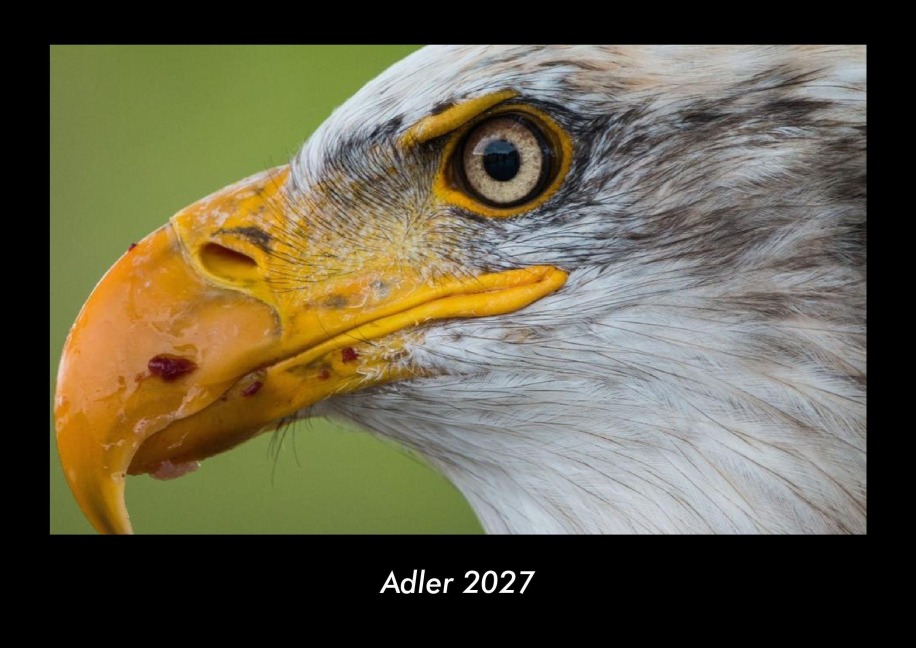 Adler 2027 Fotokalender DIN A3 - Tobias Becker