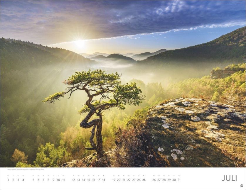 InsideView 7