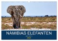 Namibias Elefanten (Wandkalender 2025 DIN A3 quer), CALVENDO Monatskalender - Wibke Woyke