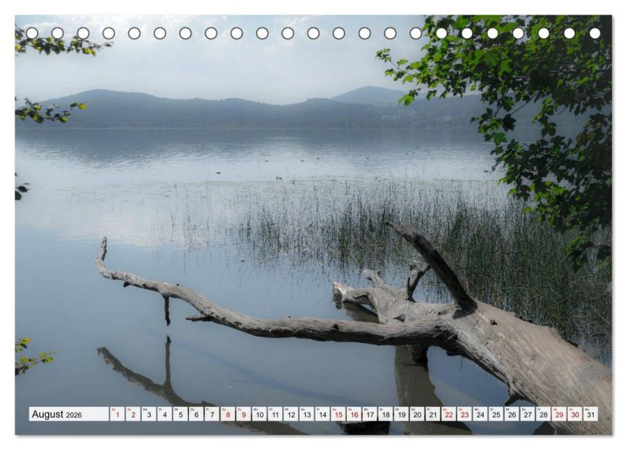 InsideView 13