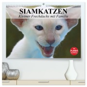 Cover-Bild zum Titel 'Siamkatzen - Kleiner Frechdachs mit Familie (hochwertiger Premium Wandkalender 2026 DIN A2 quer), Kunstdruck in Hochglanz' von 'Elisabeth Stanzer'