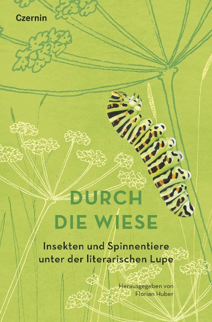 Durch die Wiese - 