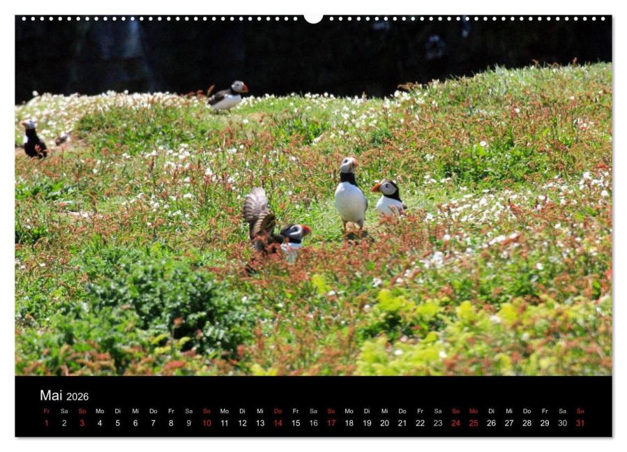 InsideView 10