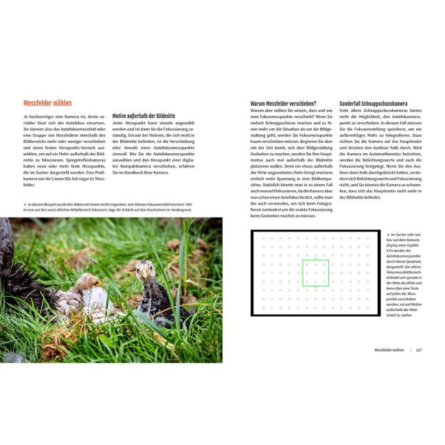 InsideView 8
