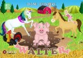 Cover-Bild zum Titel 'Walter' von 'Diane Leenaert'