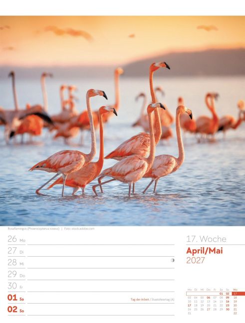 InsideView 21