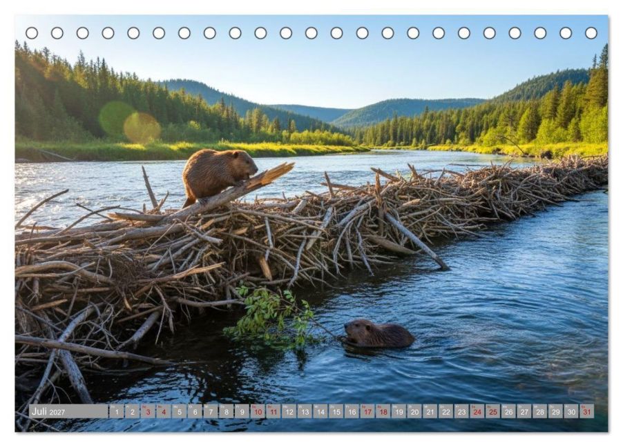 InsideView 12