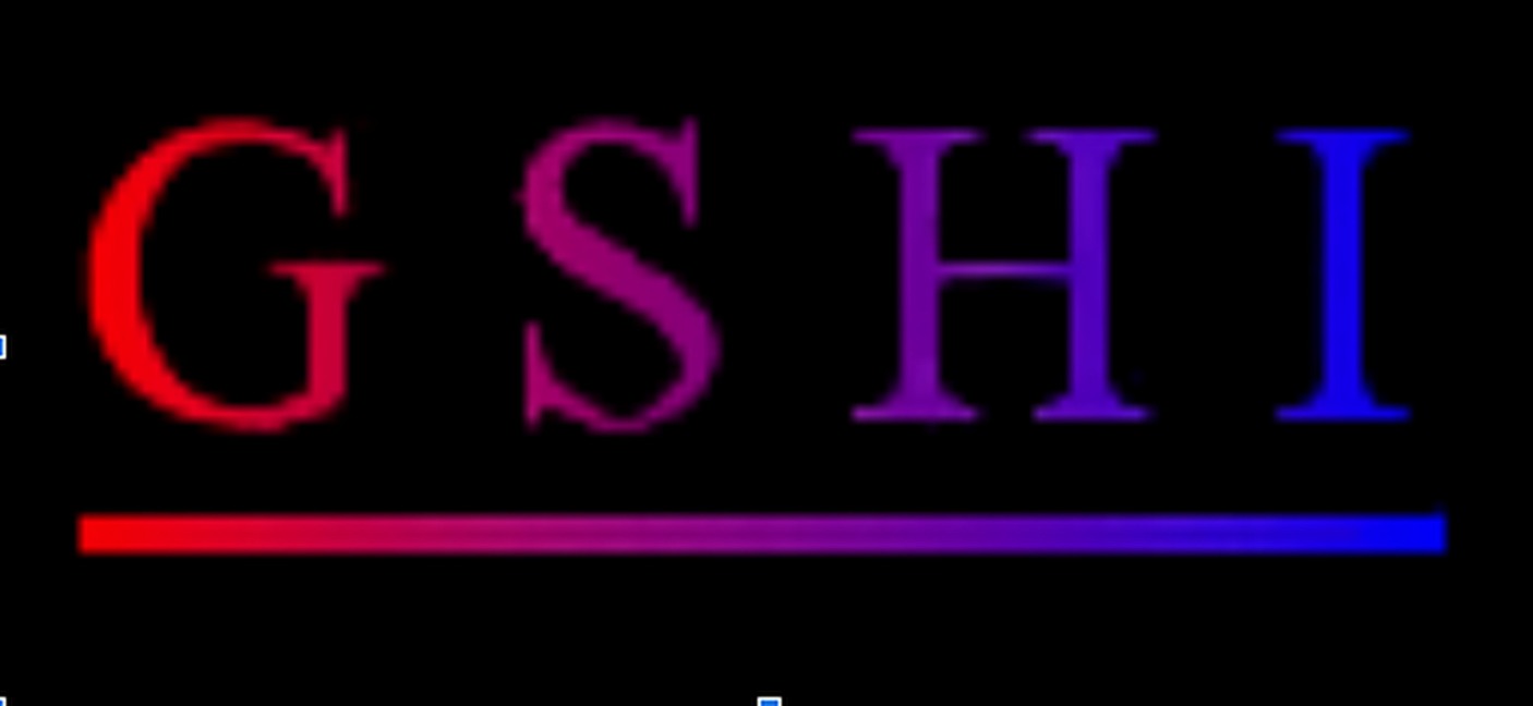 The Site Wars: A Dot-Com Story of GameSharks, Site Wars, and a Hacking Community Called GSHI - George Paul