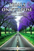 Cover-Bild zum Titel 'Trials on Purpose: Sculpted by Suffering, Strengthened by His Spirit' von 'Schniece Lambert'