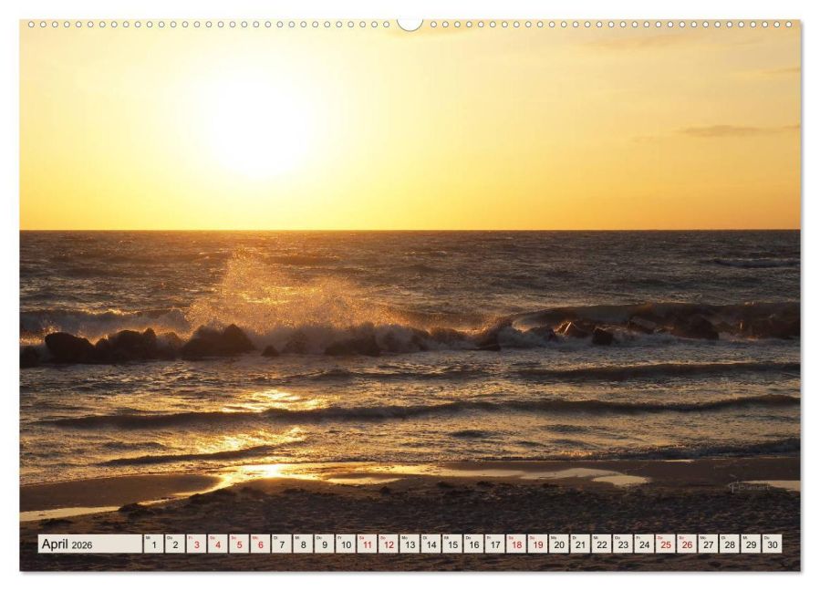 InsideView 8