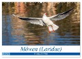 Möwen (Laridae) (Wandkalender 2024 DIN A2 quer), CALVENDO Monatskalender - Ursula Di Chito
