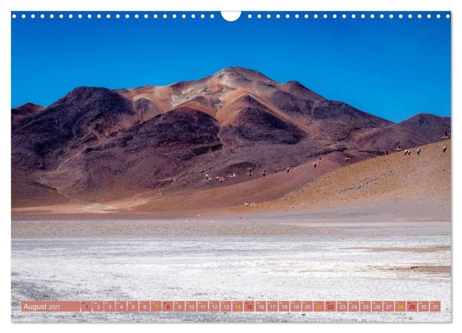 InsideView 13