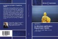 Cover-Bild zum Titel 'La direzione spirituale e l'esperienza mistica' von 'Maurizio Iandolo'