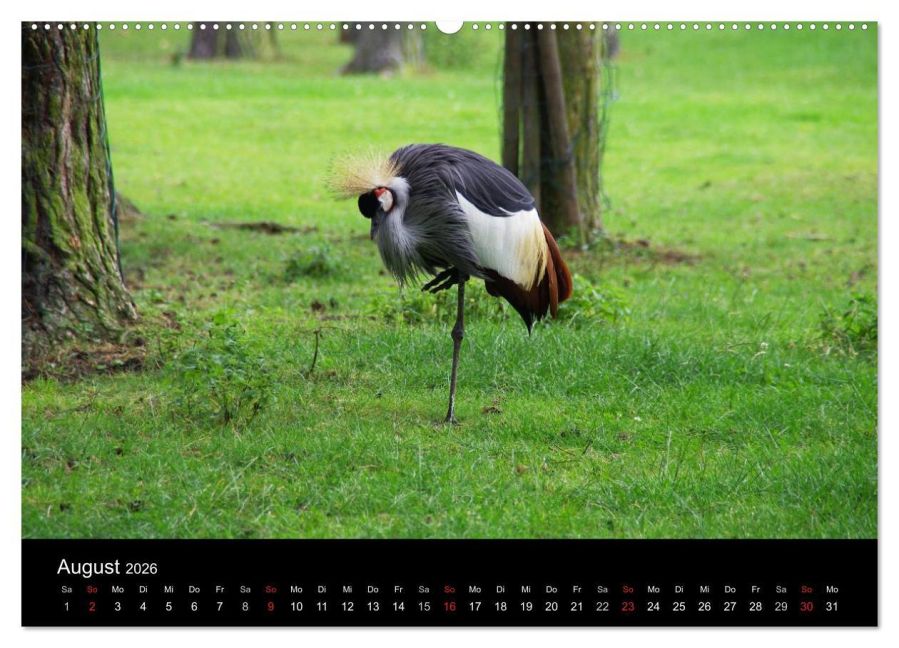 InsideView 12