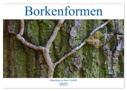 Borkenformen (Wandkalender 2025 DIN A2 quer), CALVENDO Monatskalender - Clemens Stenner