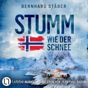 Cover-Bild zum Titel 'Stumm wie der Schnee' von 'Bernhard Stäber'