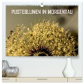 Pusteblumen im Morgentau (hochwertiger Premium Wandkalender 2024 DIN A2 quer), Kunstdruck in Hochglanz - Reinhard Sock