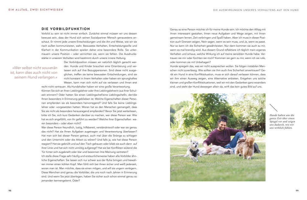 InsideView 5