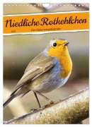 Cover-Bild zum Titel 'Niedliche Rotkehlchen (Wandkalender 2025 DIN A4 hoch), CALVENDO Monatskalender' von 'Sabine Löwer'