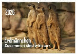 Cover-Bild zum Titel 'Erdmännchen - Zusammen sind wir stark (Wandkalender 2026 DIN A2 quer), CALVENDO Monatskalender' von 'Peter Hebgen'