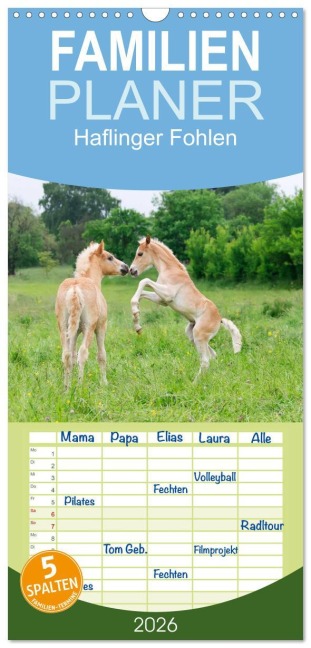 Familienplaner 2026 - Haflinger Fohlen mit 5 Spalten (Wandkalender, 21 x 45 cm) CALVENDO - Katho Menden