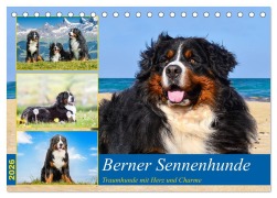 Cover-Bild zum Titel 'Berner Sennenhunde - Traumhunde mit Charme (Tischkalender 2026 DIN A5 quer), CALVENDO Monatskalender' von 'Jana K. Fotografie'
