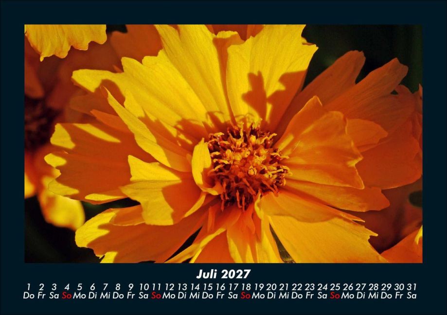 InsideView 11