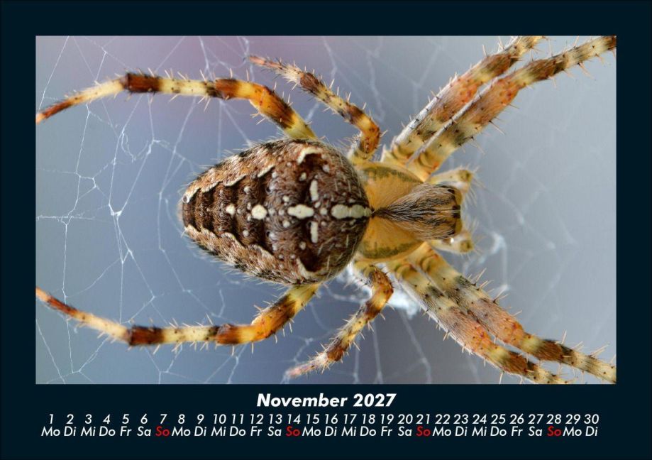 InsideView 3