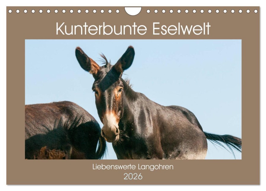 Kunterbunte Eselwelt - Liebenswerte Langohren (Wandkalender 2026 DIN A4 quer), CALVENDO Monatskalender - Meike Bölts