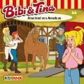 Cover-Bild zum Titel 'Folge 65:Abschied von Amadeus' von 'Bibi & Tina'