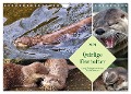 Quirlige Fischotter (Wandkalender 2024 DIN A4 quer), CALVENDO Monatskalender - Claudia Kleemann