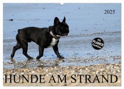 HUNDE AM STRAND (Wandkalender 2025 DIN A2 quer), CALVENDO Monatskalender - SchnelleWelten SchnelleWelten