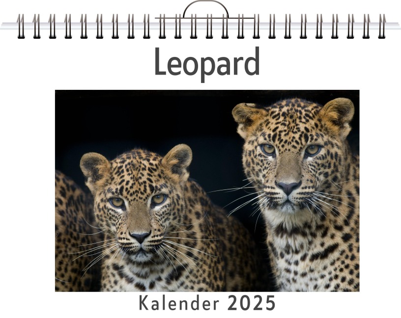 Leopard - Max Schmid
