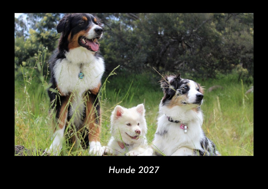 Hunde 2027 Fotokalender DIN A3 - Tobias Becker