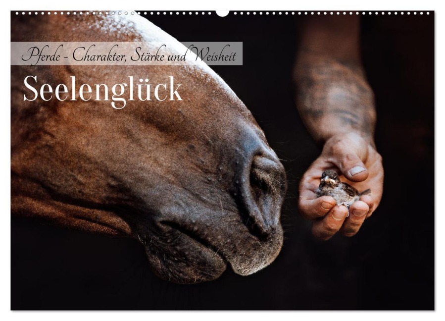 Seelenglück Kalender - Pferde - Charakter, Stärke, Weisheit (Wandkalender 2025 DIN A2 quer), CALVENDO Monatskalender - Saskia Katharina Siebel Sensiebelfotografie