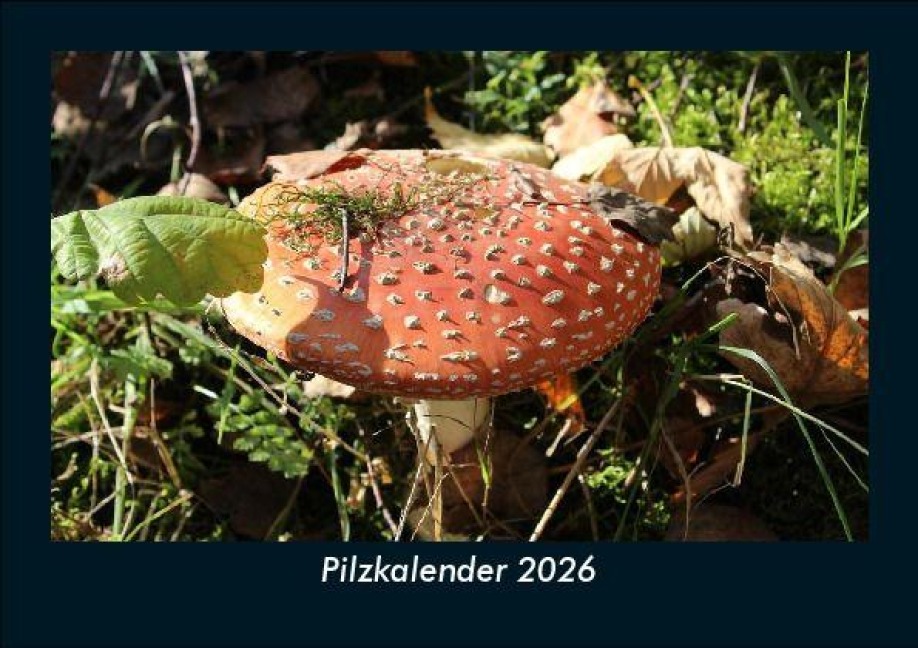 Pilzkalender 2026 Fotokalender DIN A5 - Tobias Becker