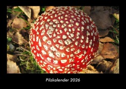 Cover-Bild zum Titel 'Pilzkalender 2026 Fotokalender DIN A3' von 'Tobias Becker'