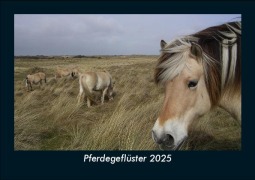 Cover-Bild zum Titel 'Pferdegeflüster 2025 Fotokalender DIN A5' von 'Tobias Becker'