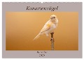 Kanarienvögel - Bunte Welt (Wandkalender 2025 DIN A2 quer), CALVENDO Monatskalender - Akrema-Photography Akrema-Photography