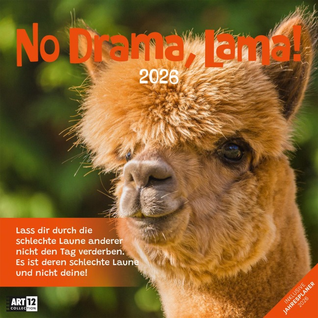 No Drama, Lama Broschürenkalender 2026 - 30x30 - Art12 - 