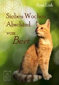 Cover-Bild zum Titel 'Sieben Wochen Abschied von Bert' von 'Anja Link'