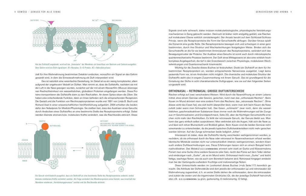 InsideView 3
